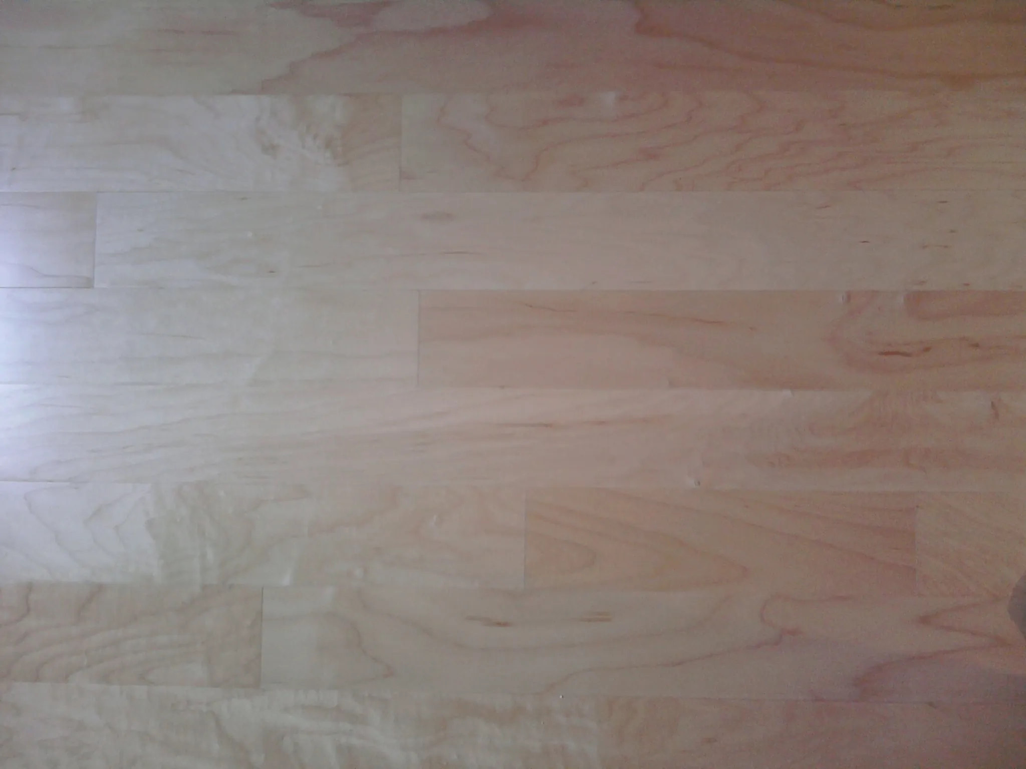 Brooklyn New Kitchen Renovation: Complete Custom Remodel - Photo 10